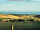 Hawkes Bay Weather Diary