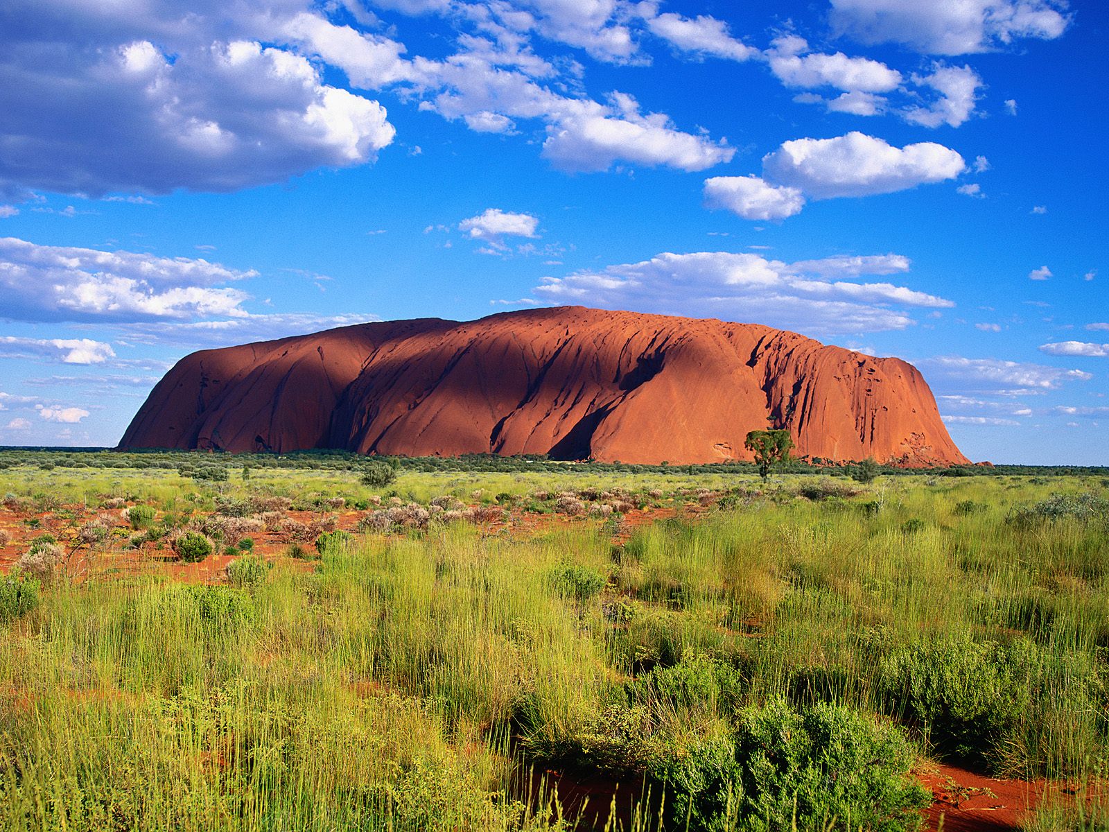 May for Australia 2013 Report 