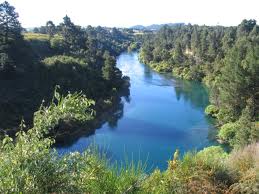Waikato-Bay of Plenty Report 2013