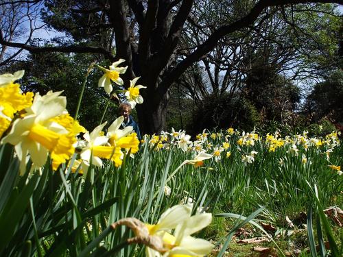 What will November bring?