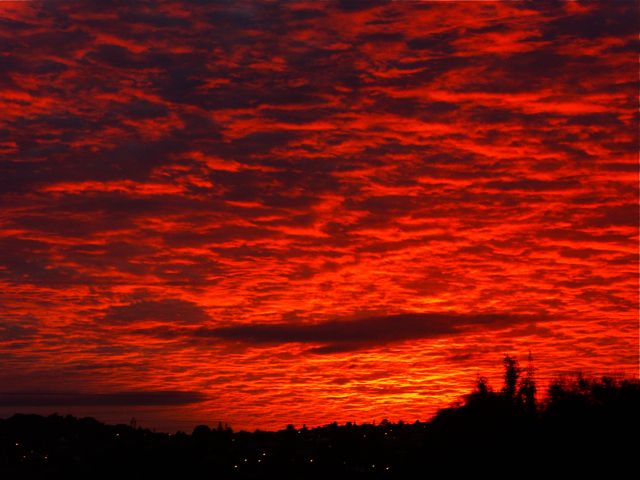 Looking after - the planet?